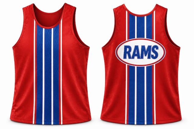 Accelerator - Sublimated Singlets